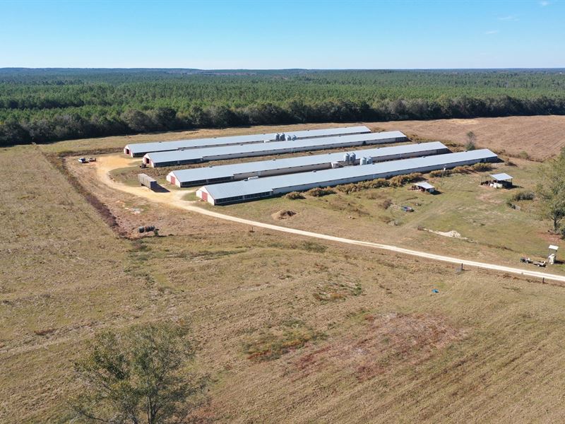 Family Broiler Farm : Florala : Covington County : Alabama