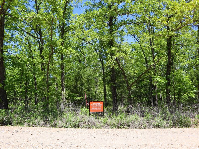 .53 Acre Unrestricted Double Lot : Vian : Cherokee County : Oklahoma