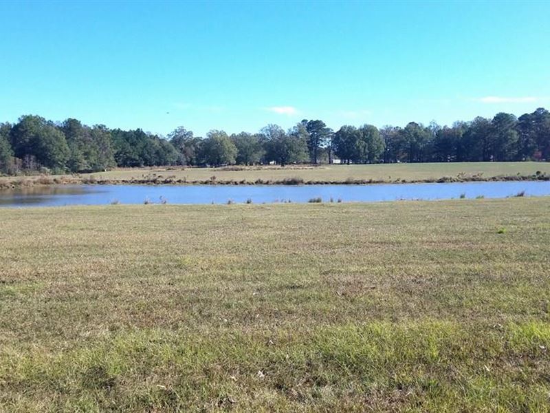 34.9 Ac Montgomery Rd, Bogue Chitto : Bogue Chitto : Lincoln County : Mississippi
