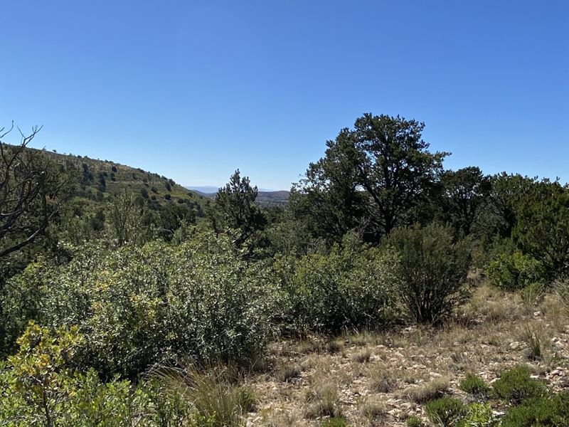 .82 Ac with Mountain Views & Power : Timberon : Otero County : New Mexico