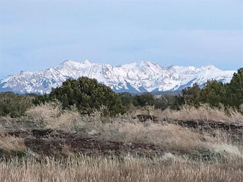 Lot 6, Gurly Canyon Ranch : Norwood : San Miguel County : Colorado