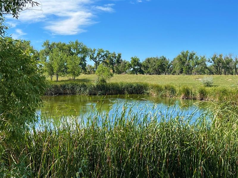 Blue Agate Ranch : Agate : Elbert County : Colorado