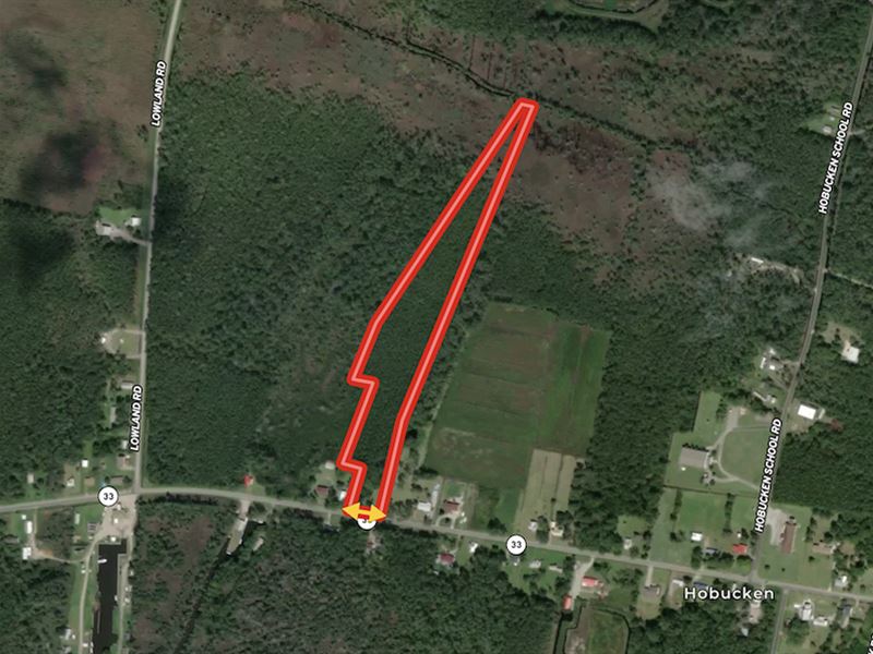 9.84 Acres of Tim : Hobucken : Pamlico County : North Carolina