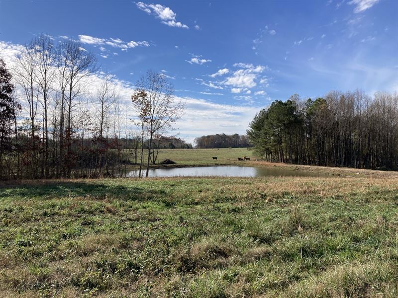 25 Acre Mini Farm Jackson Co : Dutton : Jackson County : Alabama