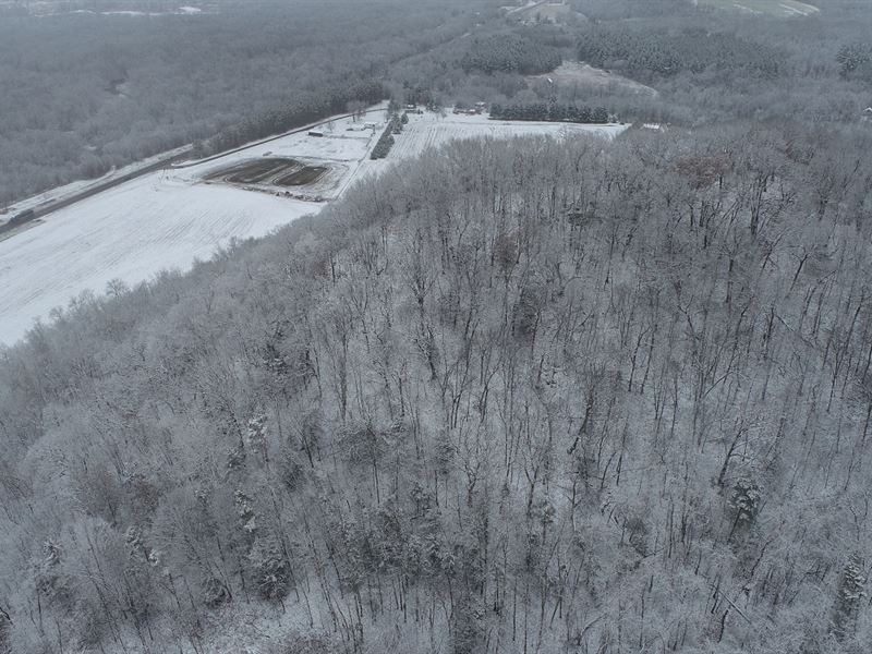 73.8 Acres in Buffalo County : Nelson : Buffalo County : Wisconsin