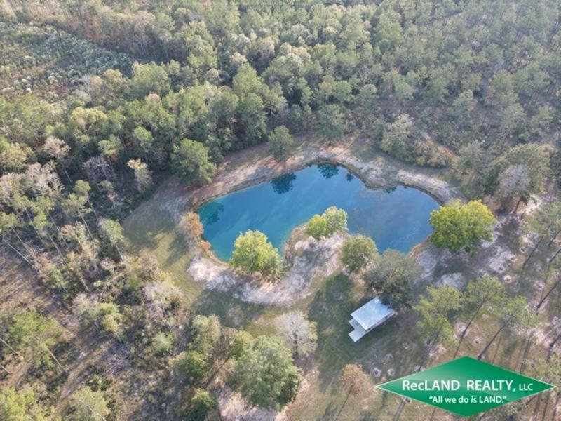 177.19 Ac, Timberland, Hunting, CA : Jasper : Jasper County : Texas