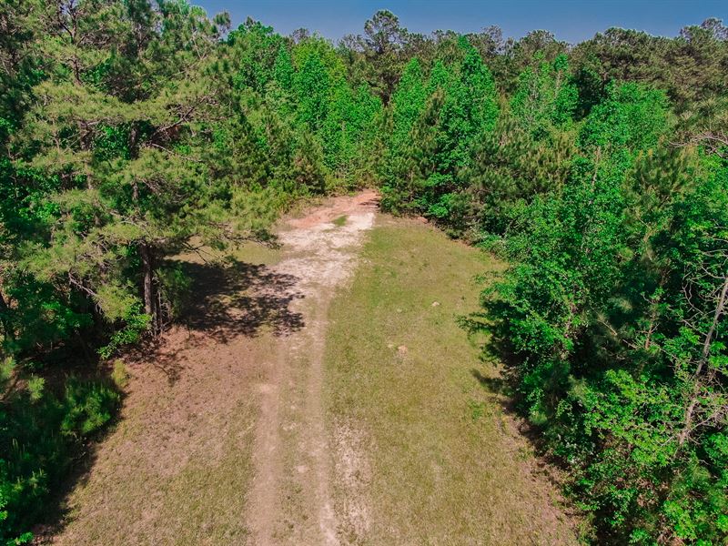 Mature Timber Hunting Tract : Talbotton : Talbot County : Georgia