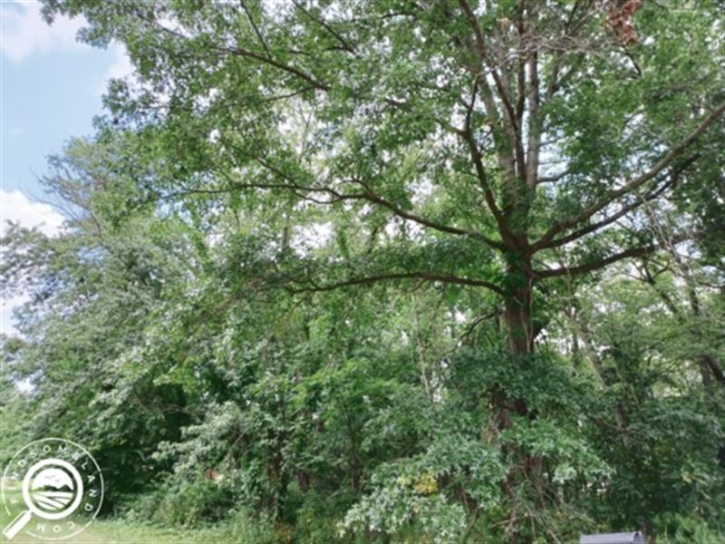 .6 Acre in Porter County, IN : Porter : Porter County : Indiana