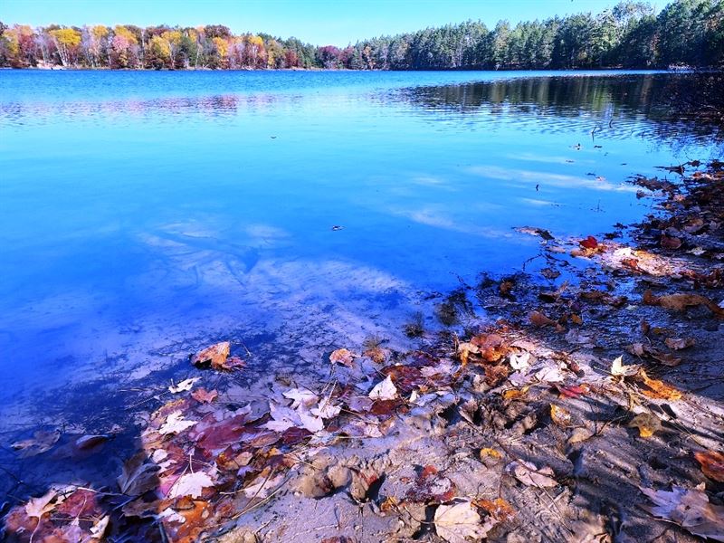 Lake Lot with 233' of Sand Shore : Rhinelander : Oneida County : Wisconsin