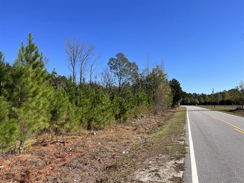 Willoughby Road North Tract : Lumberton : Robeson County : North Carolina
