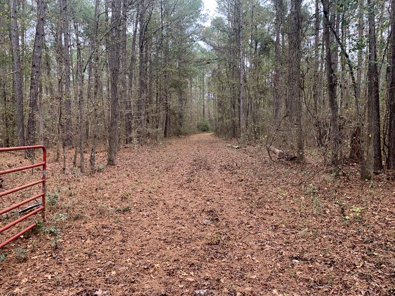 Mount Pleasant Road : Sylvania : Screven County : Georgia