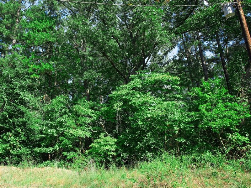 $213/Mo, No Zoning, Water & Power : Harleton : Harrison County : Texas