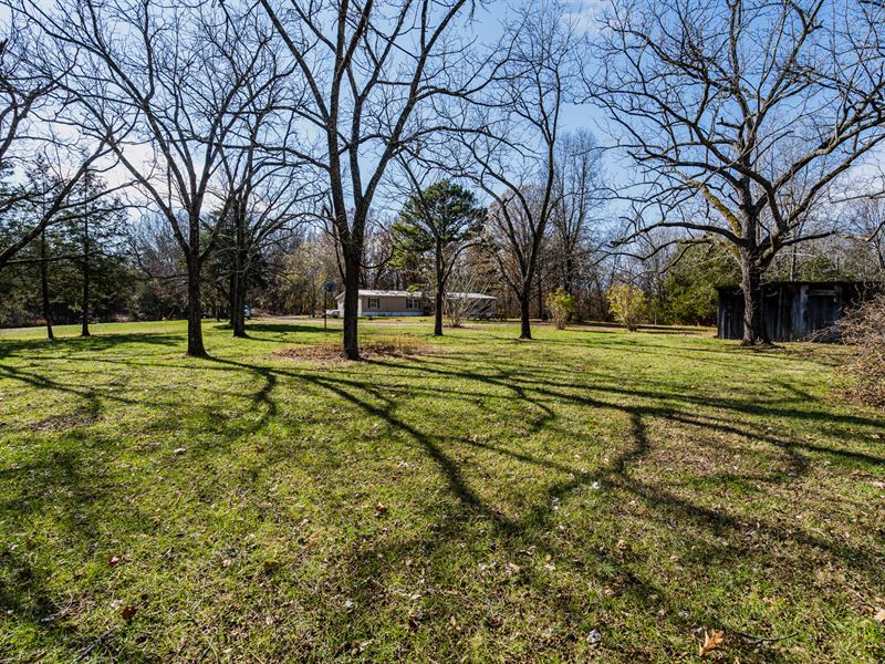 Country Home and Land for Sale : Drury : Douglas County : Missouri