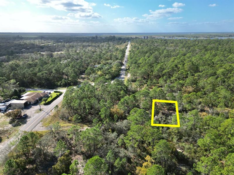 Residential 0.21 Acre Lot : Lake Placid : Highlands County : Florida