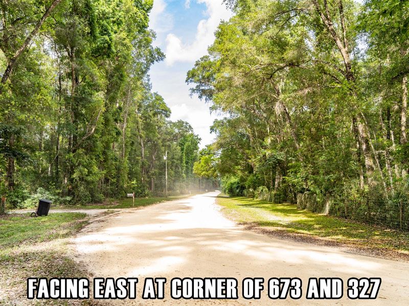 Owner Fin, Lowest Price in The Area : Old Town : Dixie County : Florida