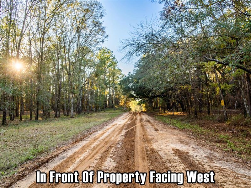 Owner Fin, Great Area, Private Feel : Greenville : Jefferson County : Florida