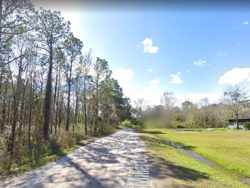 Owner Finance, Cleared, Must Go : Palatka : Putnam County : Florida