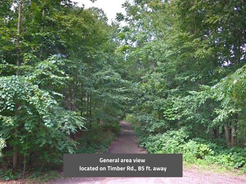 .33 Acre in Schuylkill County, PA : Pottsville : Schuylkill County : Pennsylvania