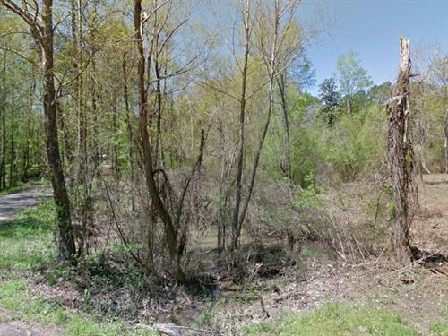 .19 Acre in Rankin County, MS : Brandon : Rankin County : Mississippi