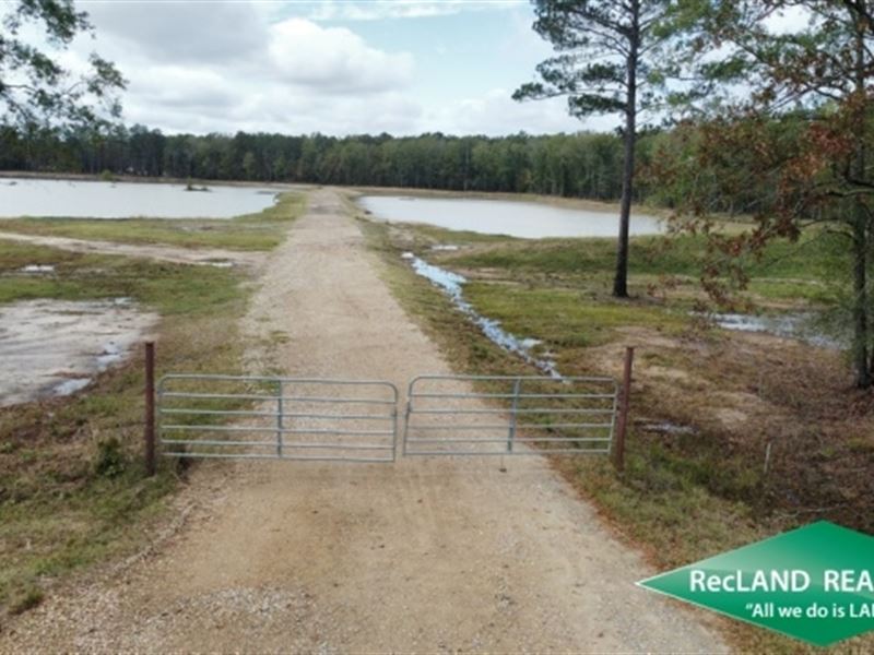 21.45 Ac, Home Site Tract with Lak : West Monroe : Ouachita Parish : Louisiana