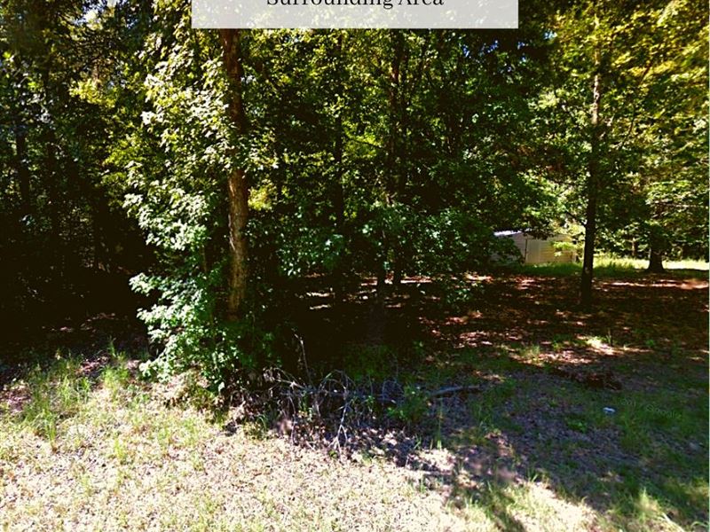 .94 Acre Only $1 Down, $299/Mo : Bolivar : Hardeman County : Tennessee