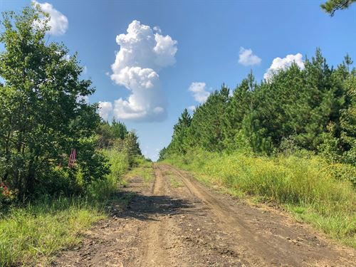 667 Acres, Theuvenins Creek : Woodville : Tyler County : Texas