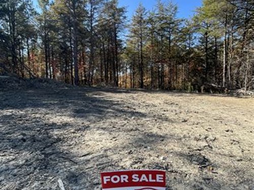 Kentucky Acreage, Owner Financing : Booneville : Owsley County : Kentucky