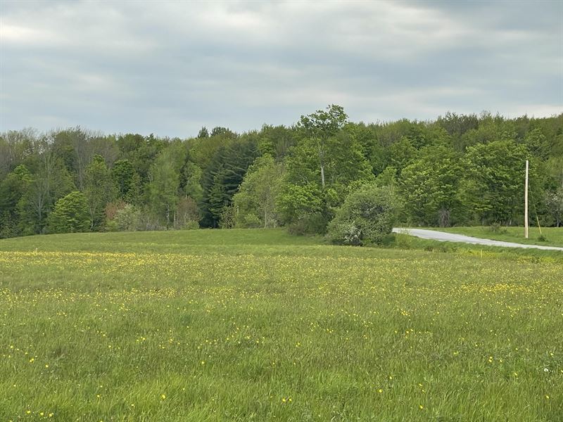 Deer Meadows, Sunset Views : Camden : Oneida County : New York