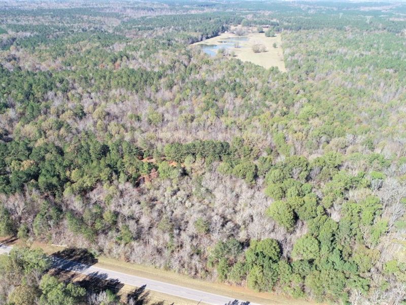 Great Homesite / Recreational Tract : Sparta : Hancock County : Georgia