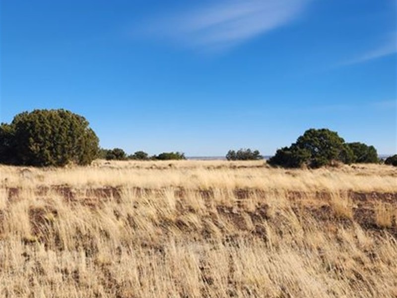 RV Friendly Double Lot : Concho : Apache County : Arizona