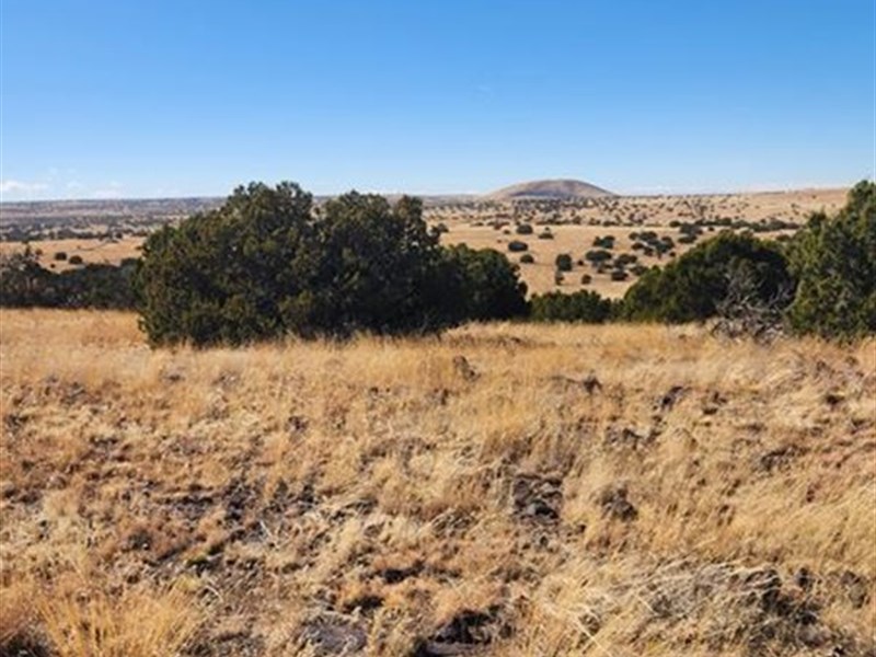 RV Friendly Lot : Concho : Apache County : Arizona