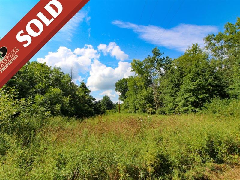 Byesville Rd, 5 Acres, Guernsey : Cambridge : Guernsey County : Ohio