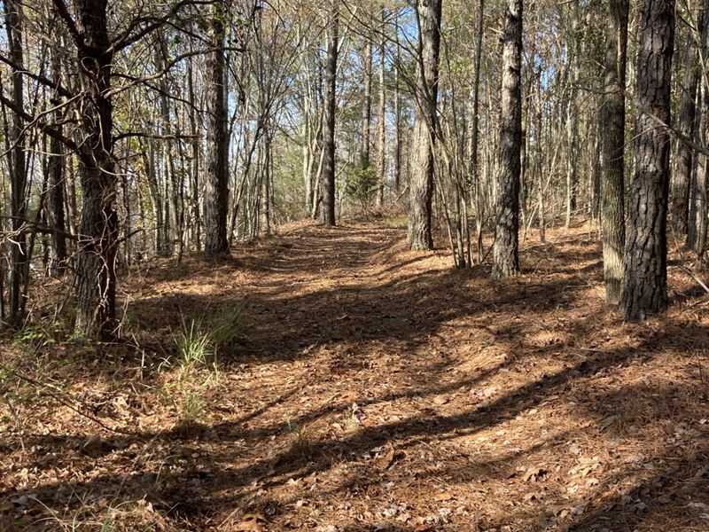 Peck Mountain 73 Morgan Co : Eva : Morgan County : Alabama