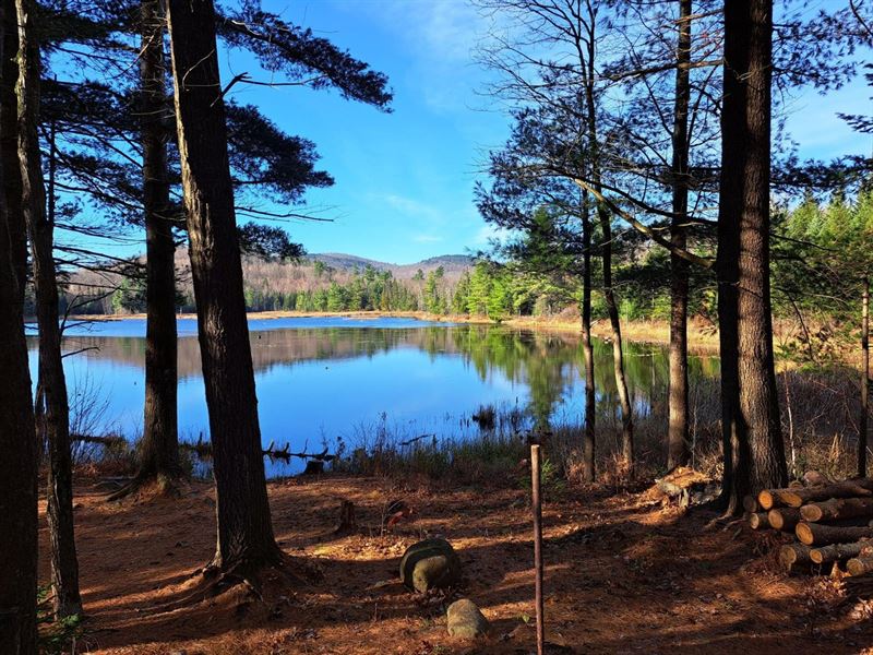 McGinnity Pond Private Forest : Black Brook : Clinton County : New York