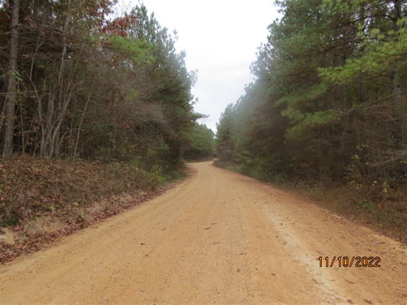 Homesites, Timber Investment & Hunt : Clanton : Chilton County : Alabama