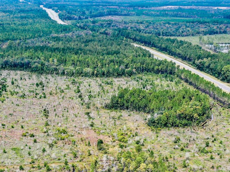 Ware County, GA 33 Acres : Waycross : Ware County : Georgia