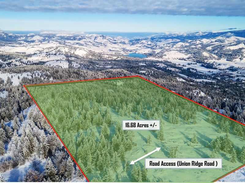 16.68 Ac Ferry County, $5000 Down : Torboy : Ferry County : Washington