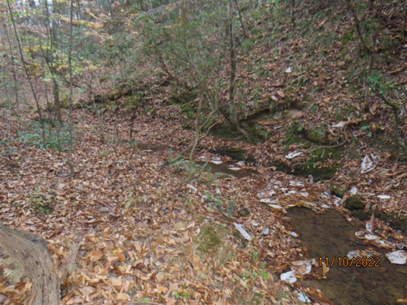 Hunting Near Lay Lake : Clanton : Chilton County : Alabama
