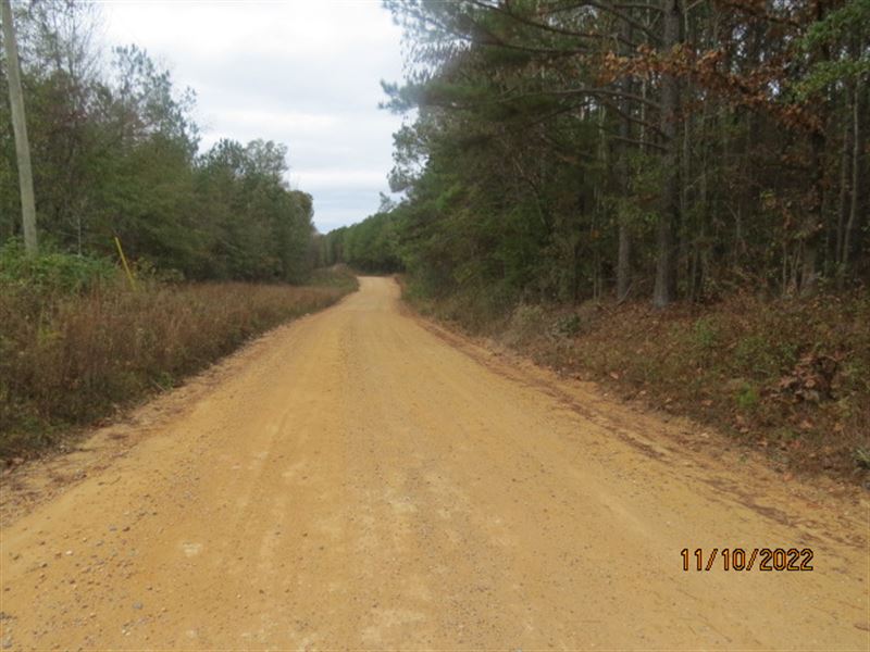 Hunting Near Lay Lake : Clanton : Chilton County : Alabama
