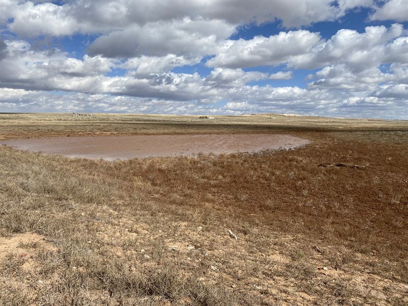 1 Acre with Wide Open Spaces : Wagon Wheel : Torrance County : New Mexico