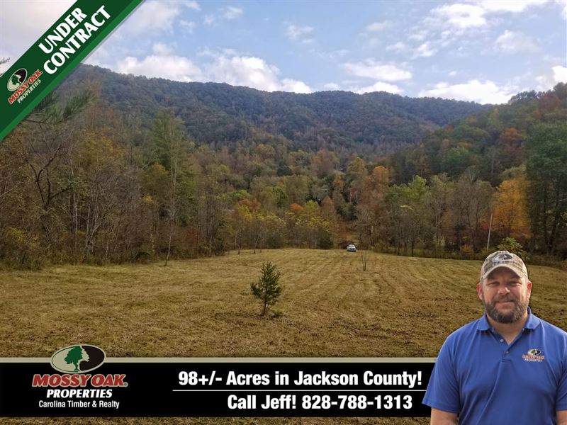 98 Acres with Flat Pasture in Cu : Tuckasegee : Jackson County : North Carolina