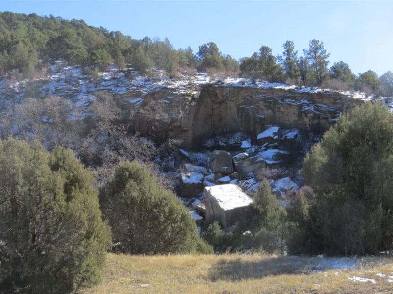 48 Ponderosa Hills : Trinidad : Las Animas County : Colorado