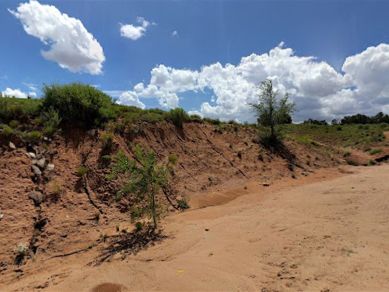 Buy This Land for Only 1 Down Land for Sale by Owner in Bell Brand