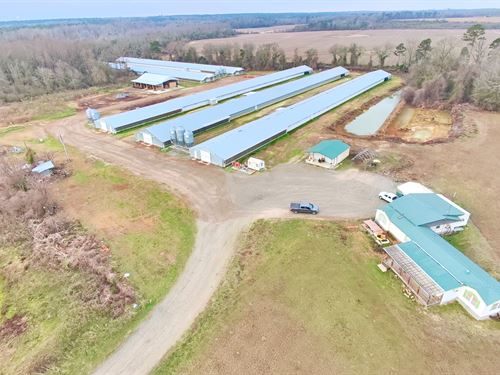 Broiler Farm, 5 Houses, Updated : Oglethorpe : Macon County : Georgia