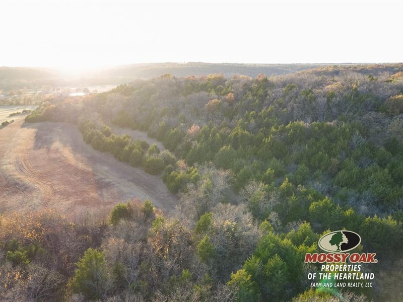 127.5 Acres A+ Deer Habitat Southea : Independence : Montgomery County : Kansas