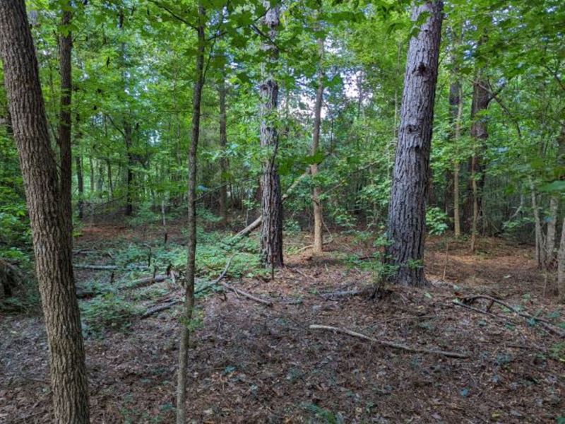 South Montgomery 27 Acres : Lapine : Montgomery County : Alabama