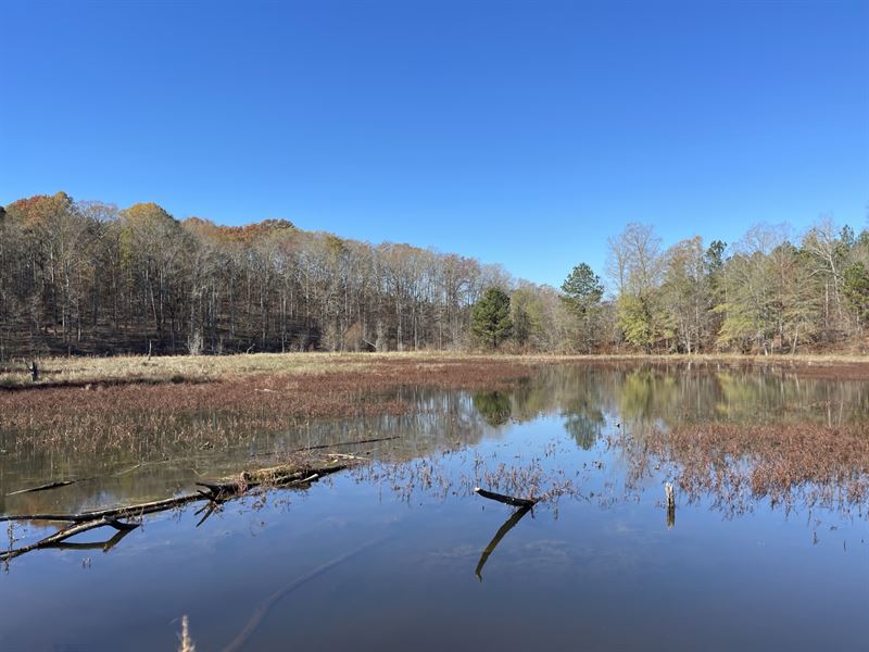 183 Acres, Oglethorpe County,Ga : Carlton : Oglethorpe County : Georgia