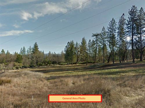 1.49 Acres in Shasta County, CA : Oak Run : Shasta County : California