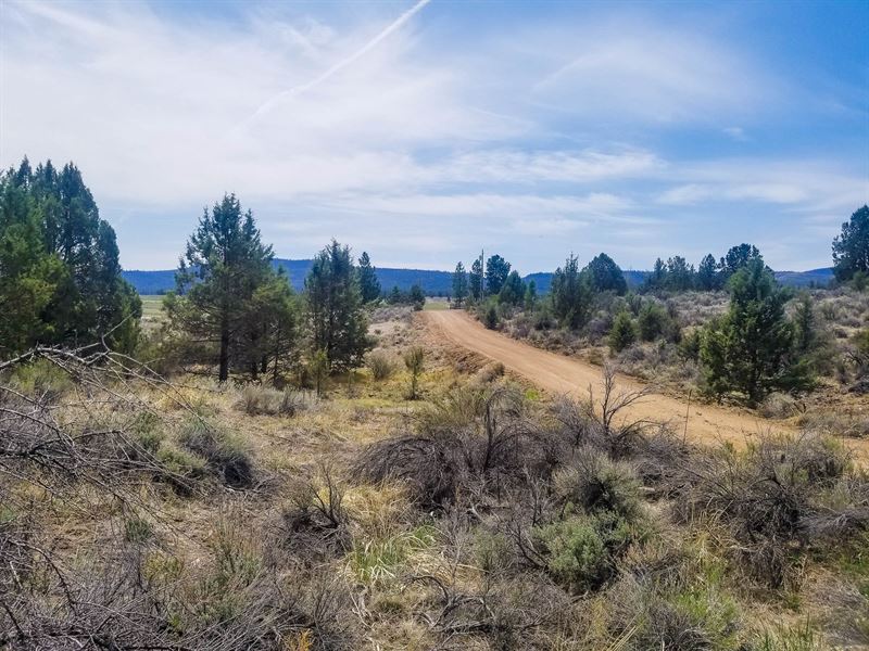 Skip & a Jump to The Sprague River : Chiloquin : Klamath County : Oregon