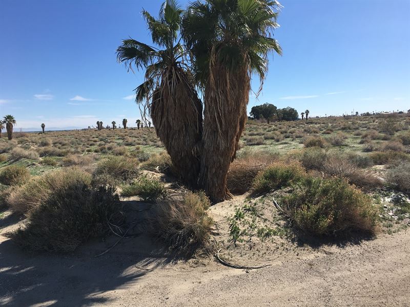 Nice Corner Lot in Vista Del Mar : Vista Del Mar : Imperial County : California